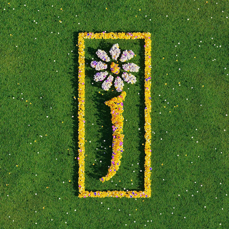 James - Nothing but love - the definitive best of (LP)