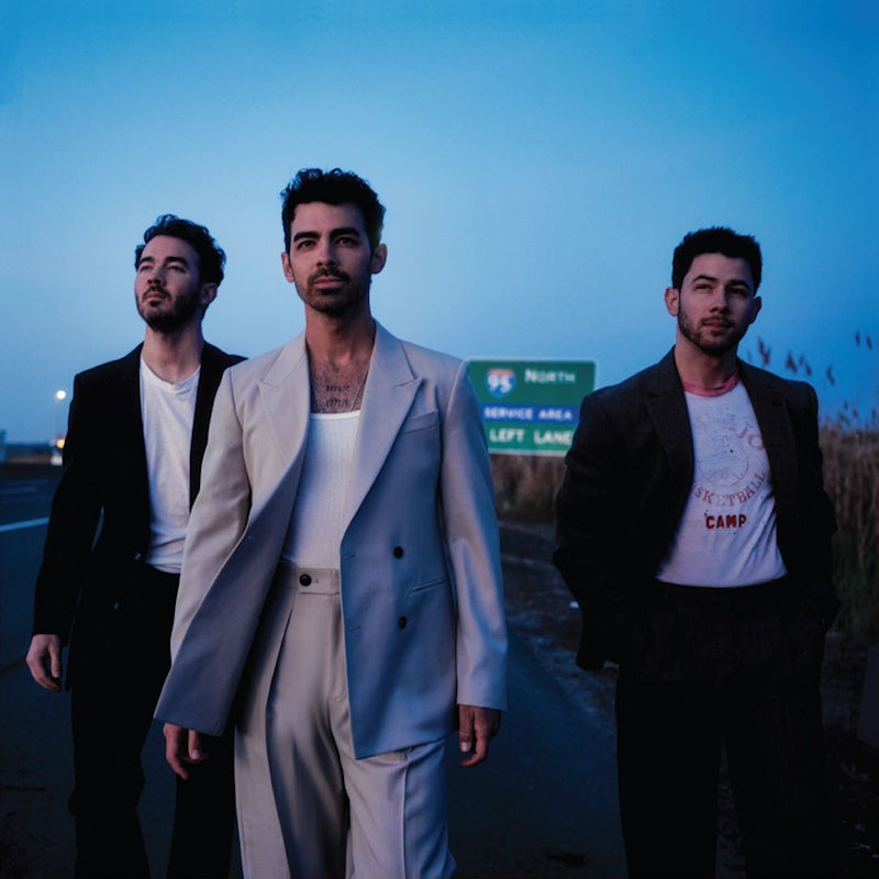 Jonas Brothers - Greetings from your hometown (LP)