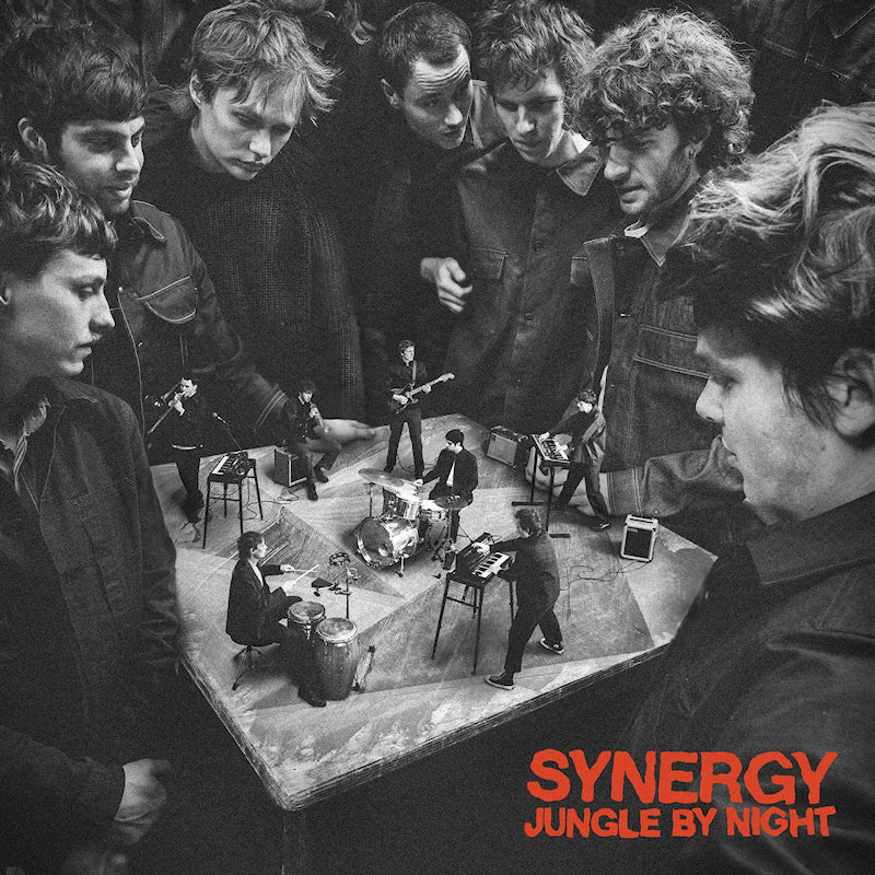 Jungle By Night - Synergy (CD)