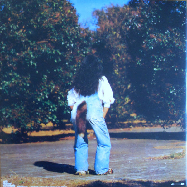 Akiko Yano - Gohan Ga Dekitayo (LP)