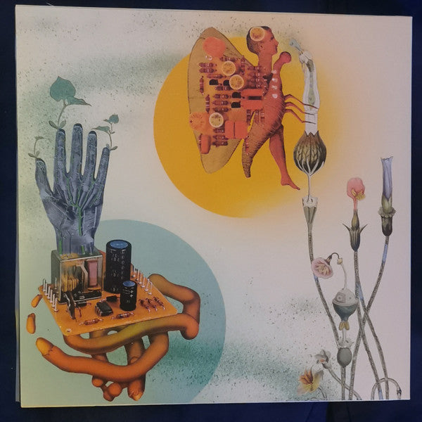 Salami Rose Joe Louis - Akousmatikous (LP) - Velvet Music