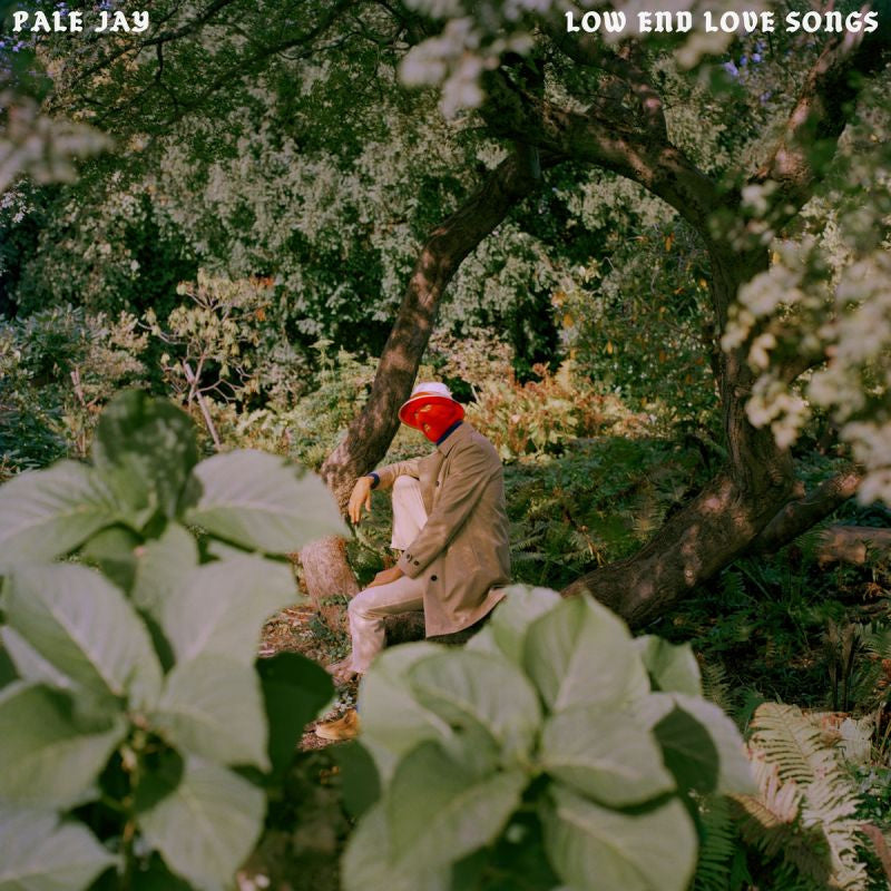 Pale Jay - Low end love songs (CD)