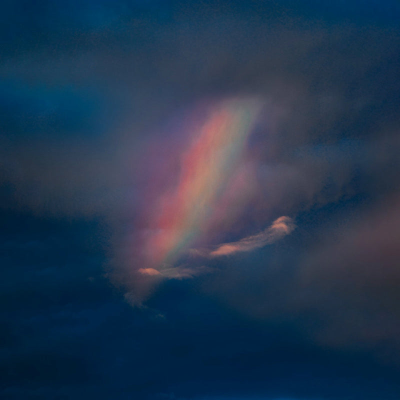 Pool Kids - Pool kids (LP)