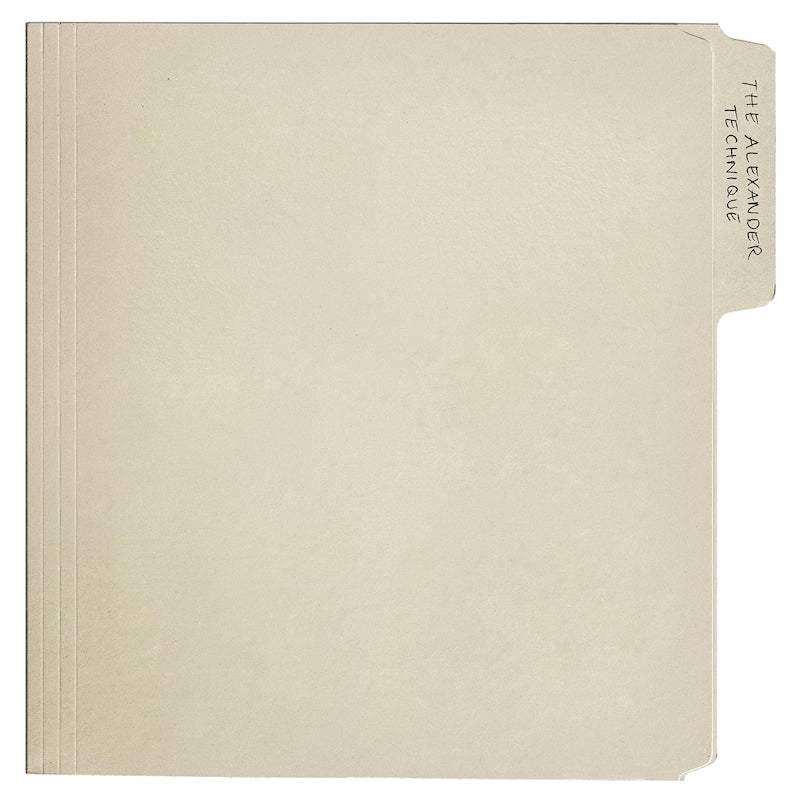 Rex Orange County - The alexander technique (LP)