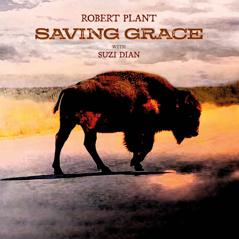 Robert Plant - Saving grace (CD)