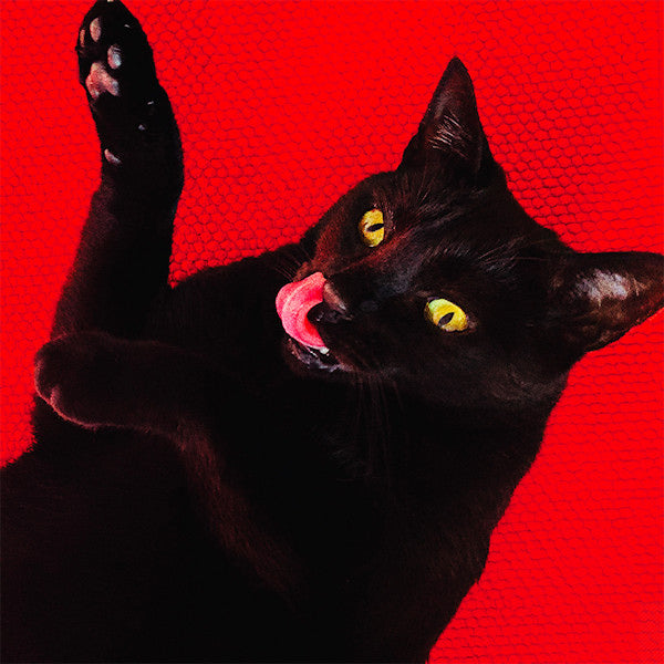 Ryan Adams - Big colors -colored + 7-inch- (LP)