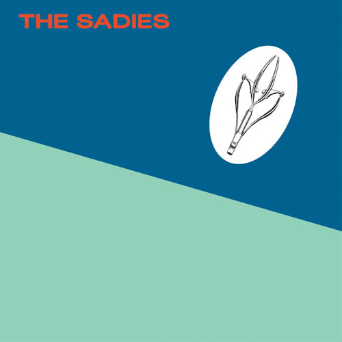 Sadies - Precious moments (CD)