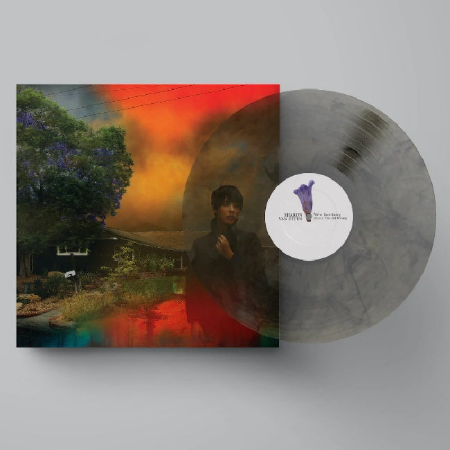 Sharon Van Etten - We've been going about this all wrong (LP)