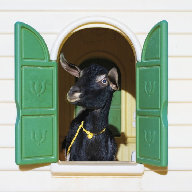 Superchunk - Wild Loneliness (LP)