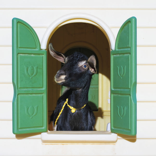 Superchunk - Wild Loneliness (LP)