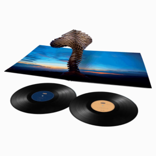 Thunder - All the right noises (LP)