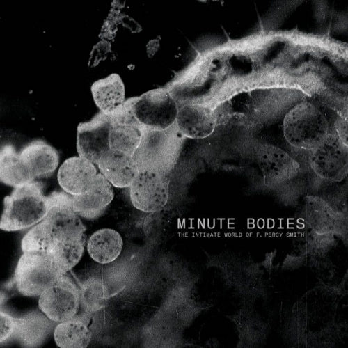 Tindersticks - Minute bodies: the intimate world (LP)