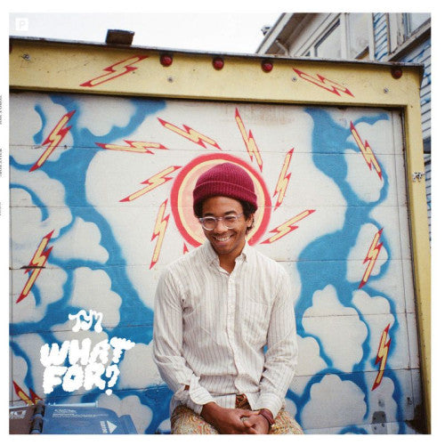 Toro Y Moi - What for (LP)