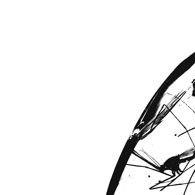 The Boxer Rebellion - Exits (LP)