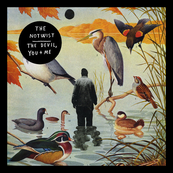 The Notwist - The devil, you + me (LP)