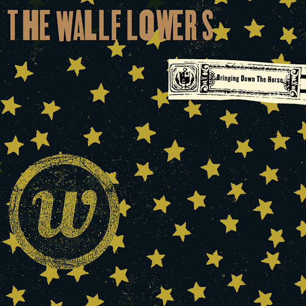 The Wallflowers - Bringing down the house (LP)