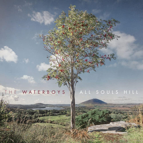 Waterboys - All souls hill (LP) - Velvet Music