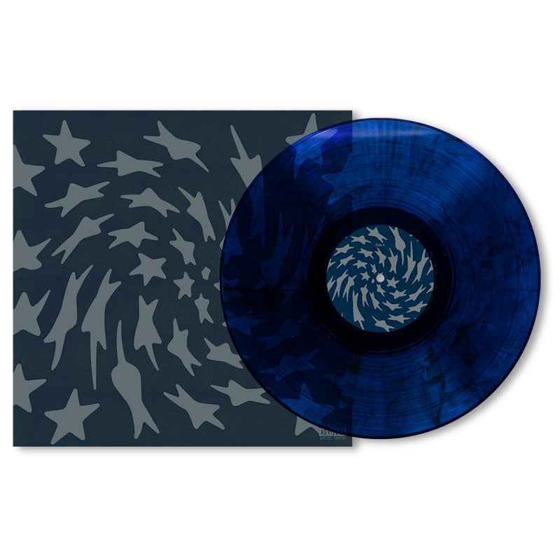 Toro Y Moi - Hole erth (LP)