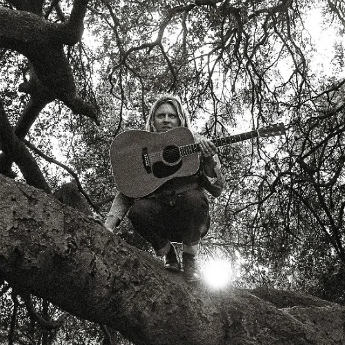 Ty Segall - hello, hi (LP)