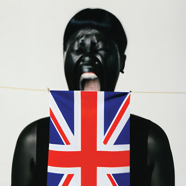 Vv Brown - Am i british yet? (CD)