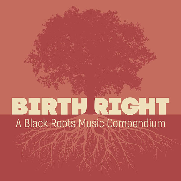 V/A (Various Artists) - Birthright: a black roots music compendium (CD)