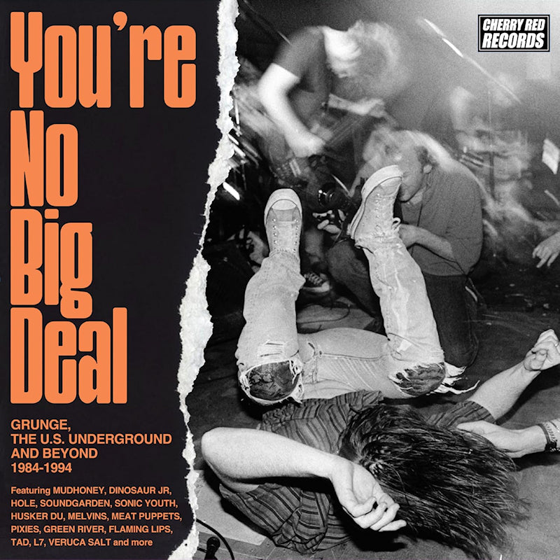 Various - You're no big deal - grunge, the u.s. underground (CD)