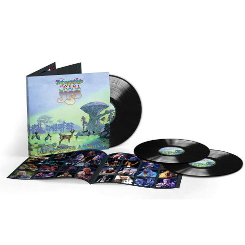 Yes - Topographic drama - live (LP)