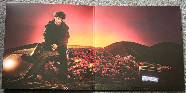 Tom Grennan - What Ifs & Maybes (LP)