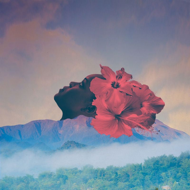 Zara McFarlane - Songs of an unknown tongue (LP)