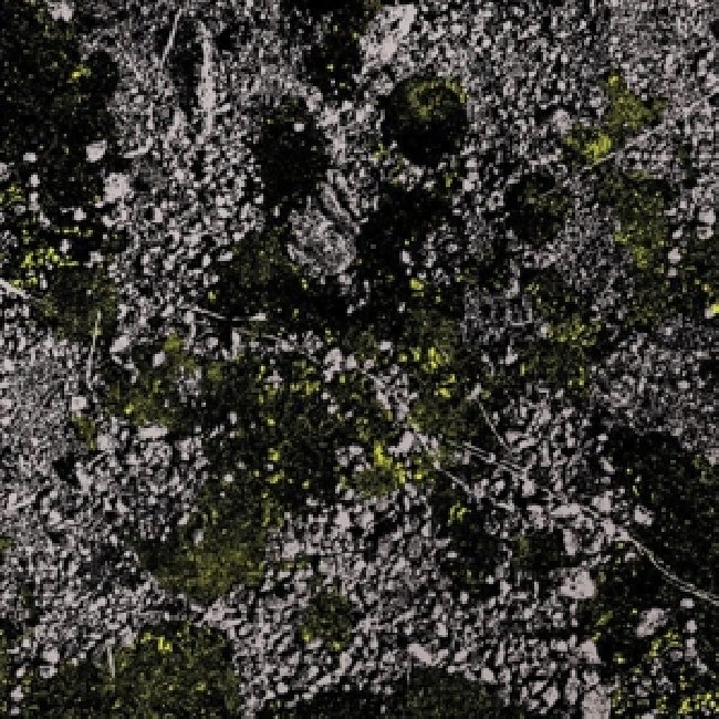 King Gizzard & The Lizard Wizard - Infest the rats' nest (LP)