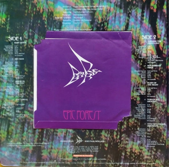 Rare Bird - Epic Forest (second hand LP)