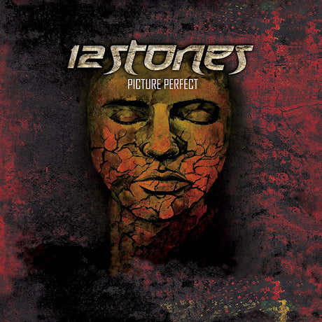 12 Stones - Picture perfect (red) (LP)