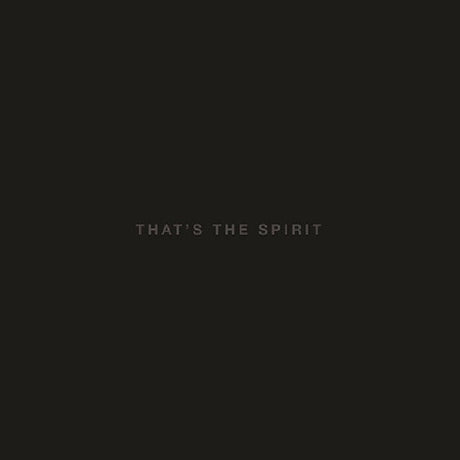 Bring Me The Horizon - That's the spirit (CD)