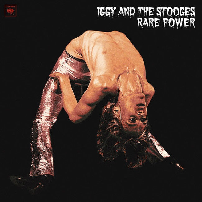 Iggy &amp; The Stooges - Rare power -black fr- (LP) - Velvet Music