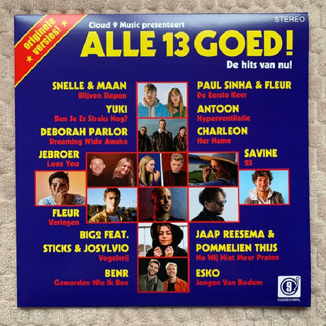 V/A (Various Artists) - Alle 13 goed! (LP) - Velvet Music