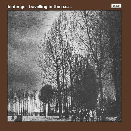 Bintangs - Travelling in the usa (LP) - Velvet Music