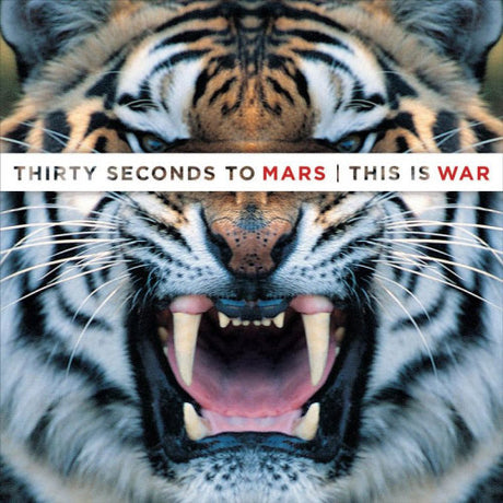 Thirty Seconds To Mars - This is war (LP)