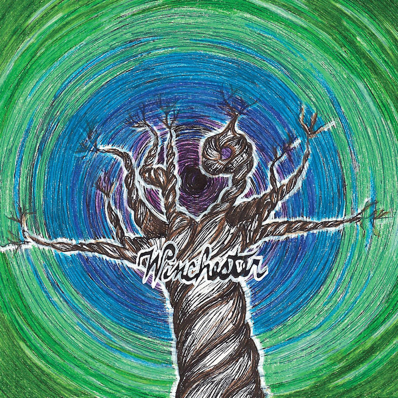 49 Winchester - 49 winchester (LP)