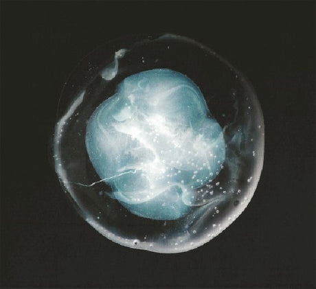 A Winged Victory For The Sullen - Undivided five (CD)