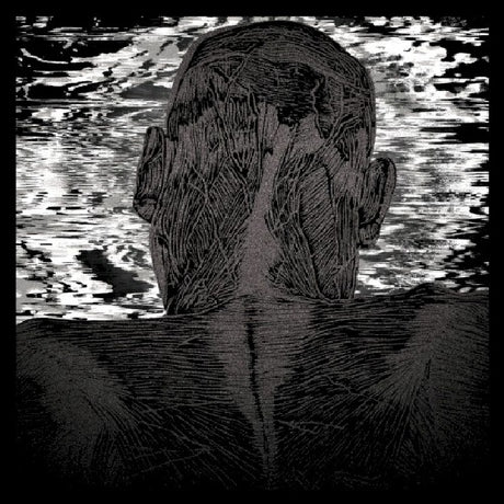 Asher Levitas - Lit harness (CD)