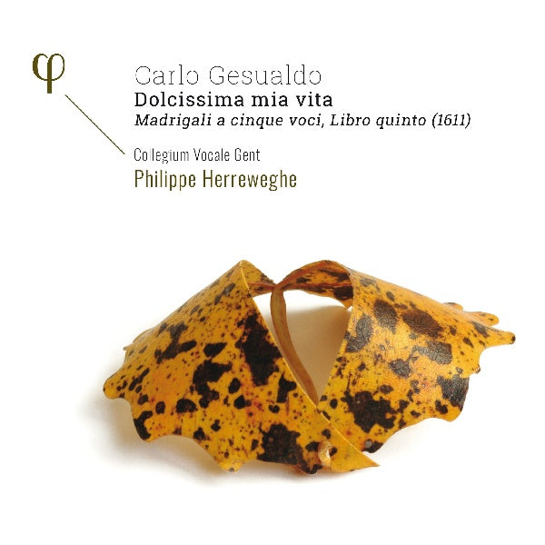 Collegium Vocale Gent - Gesualdo: madrigali a 5 voci, libro quinto (1611) (CD)