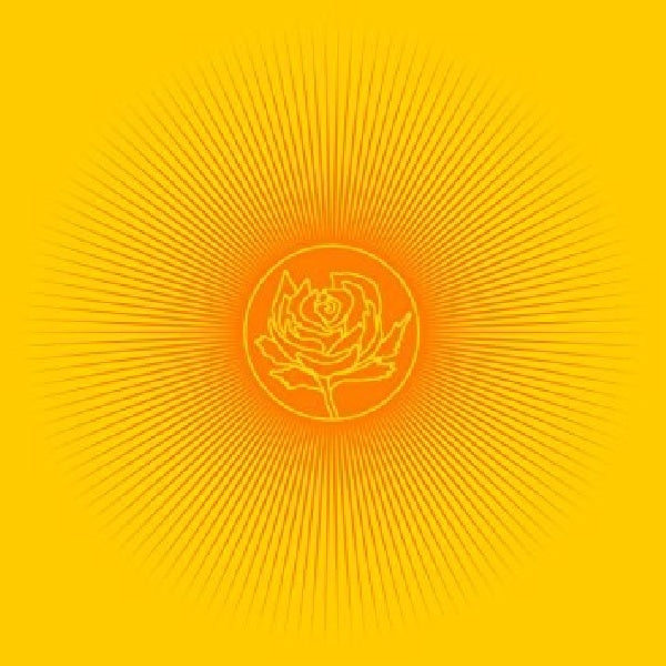 Ryan Adams - Easy tiger (LP)