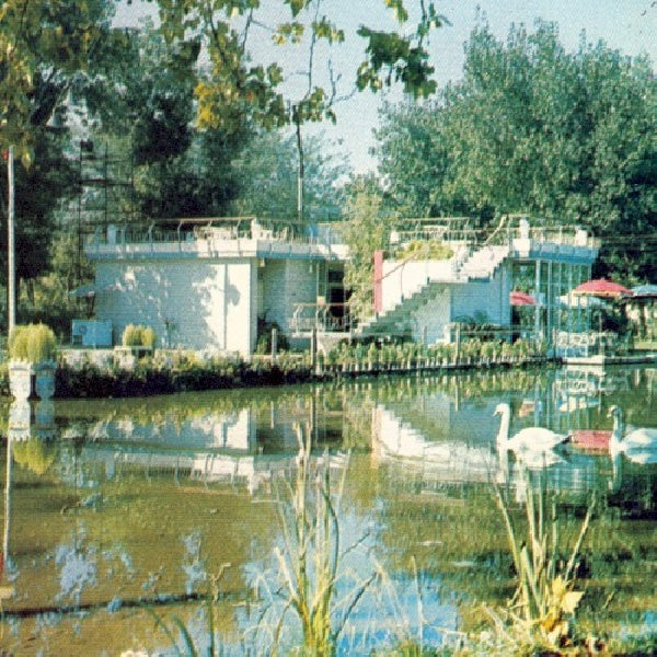 Ducktails - Iii:arcade dynamics (CD)