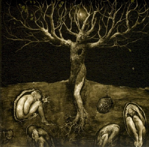 All Traps On Earth - A drop of light (CD)