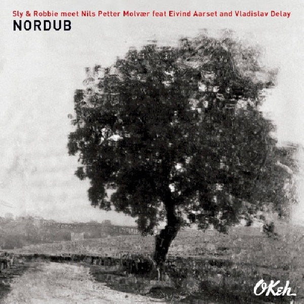 Sly & Robbie Meet Nils Petter - Nordub (CD)