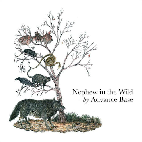 Advance Base - Nephew in the wild (LP)