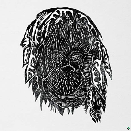 Alpha Steppa - Raise the ark (CD)