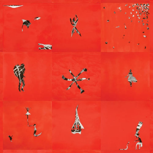 Animal Collective - Hollinndagain (LP)