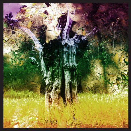 Animal Collective - Meeting of the waters (12-inch maxi-single)