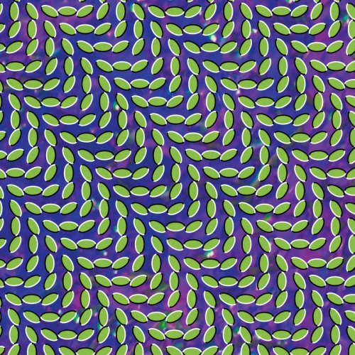 Animal Collective - Merriweather post pavillion (LP)